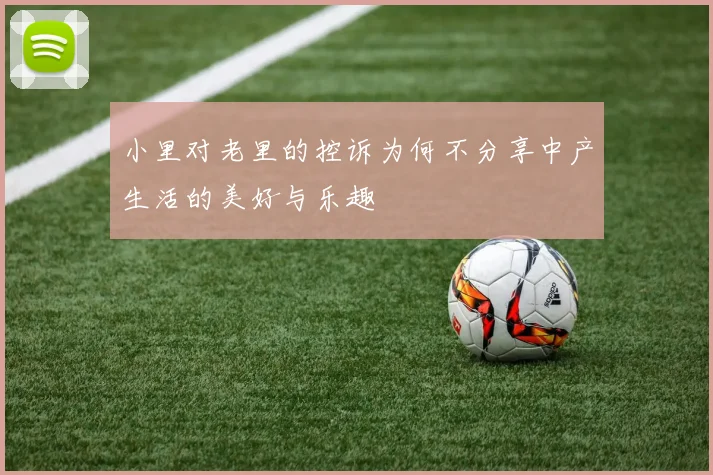 小里对老里的控诉为何不分享中产生活的美好与乐趣