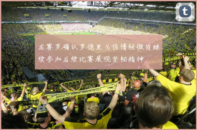 龙赛罗确认罗德里戈伤情轻微将继续参加后续比赛展现坚韧精神