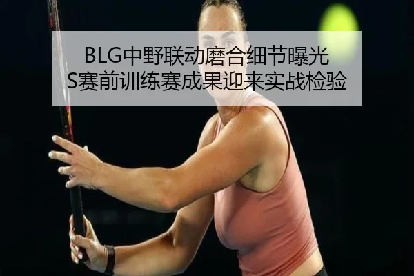 BLG中野联动磨合细节曝光 S赛前训练赛成果迎来实战检验 - c7c7app